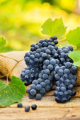 Grapes on a old wooden table on nature background