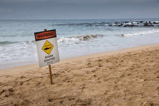 Shark Sighted Sign