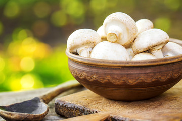 Fresh mushrooms on a wooden board on nature background