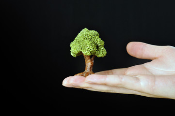 緑の木を大切に持っている人間の手