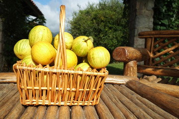 Oranges