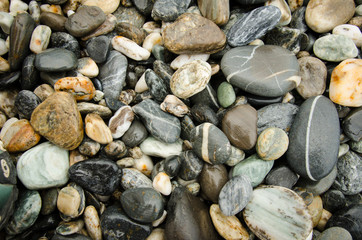 Rocks