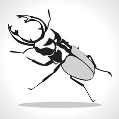 beetle