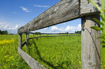 old wooden fence on nice green summer pasture  meadow