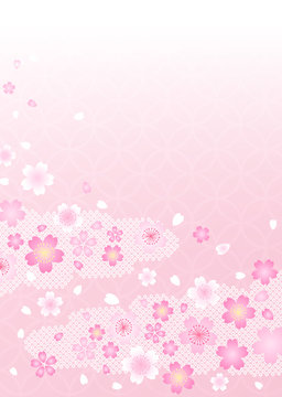 さくら　鹿の子
