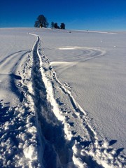 Obraz premium Auf den Spuren durch den Schnee
