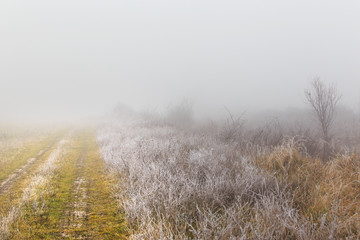Obraz na płótnie Canvas Country dirt road in the fog