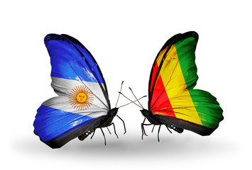 Two butterflies with flags Argentina and Guinea