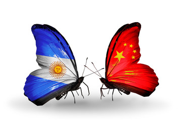Two butterflies with flags Argentina and China