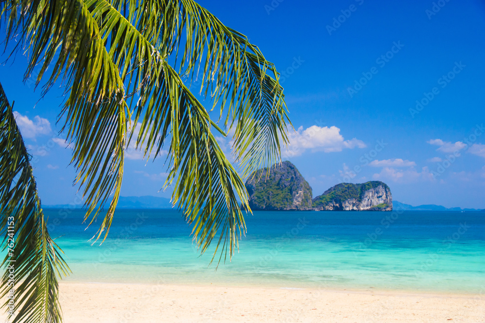 Poster Palms Overhanging Jungle and Sea