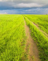 Fields of Sunlight In a Cloudy Weather