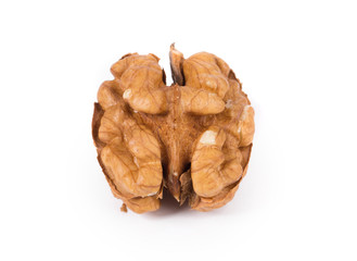 Kernel walnut.