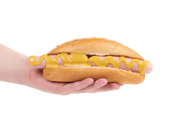 Hand holding hot dog.