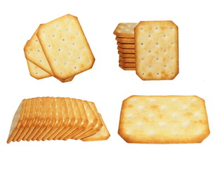 Biscuit. Isolated on white background