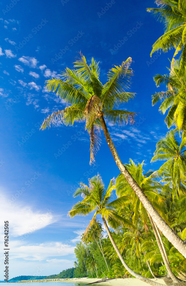 Canvas Prints serenity shore beautiful beach