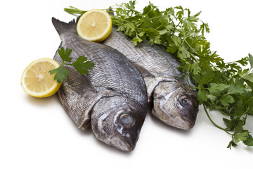 bream with lemon isolated