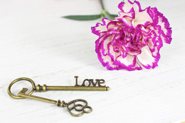 Valentines day key to love and pretty flower background