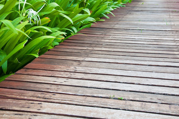 Wood pathway in the garden