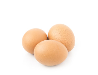 eggs on white background