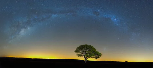 Rolgordijnen De Melkweg bij Ezemvelo © hannesthirion