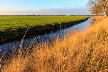 A grassland and ditch at sunset in a dutch landscape