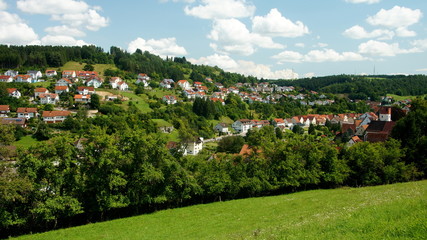 Dorfansicht mit Neubauten in Sulz am Eck