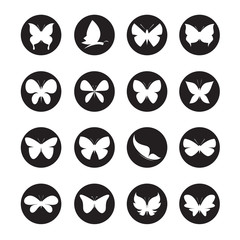 Vector group of butterflies in the circle