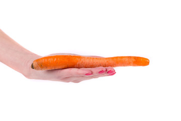 hand holds fresh carrot