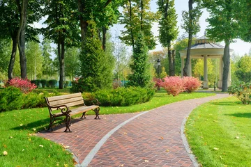Wall murals Lime green Beautiful park with bench