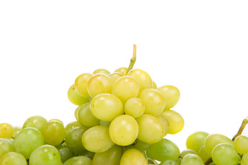 juicy green grapes