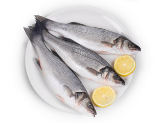 Fresh seabass with lemon