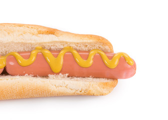 Tasty grilled hotdog