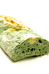 Schimmel auf Brot