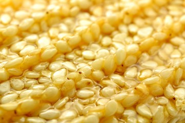 Karamellisierter Sesam