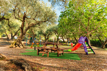 kids playground in a garden