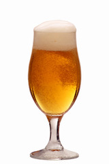 Glass of beer