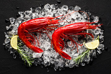 Fresh big red shrimp on ice on a black stone table top view - 76263135