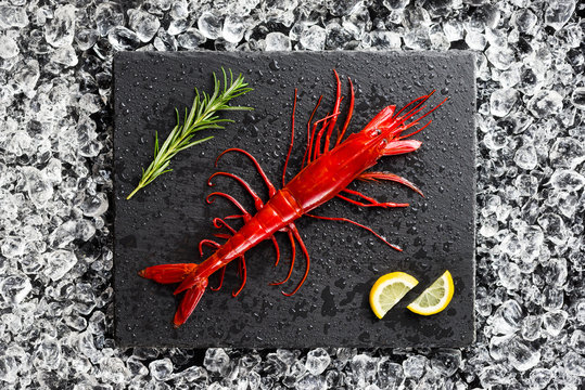 Fresh big red shrimp on ice on a black stone table top view