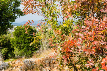 Apparition hill views