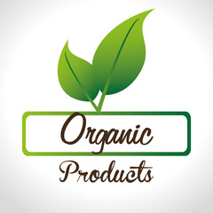 Food design, vector illustration.