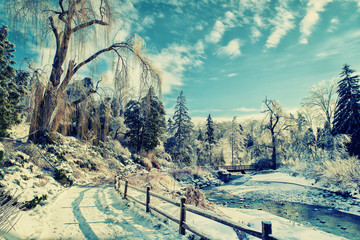 Plakaty  Frozen Park Landscape - Retro