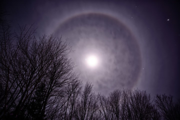 Fototapeta na wymiar Moon Corona Over Treetops