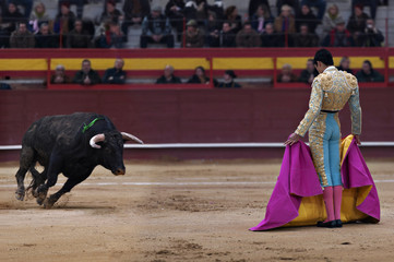 Bullfighter in a bullring - Powered by Adobe