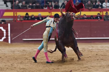 Afwasbaar fotobehang Bullfighter in a bullring © fresnel6