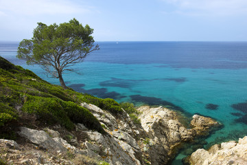 Fototapeta na wymiar Auf dem Sentier littoral ab der Côte d'Azur bei Gigaro