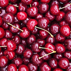 sweet red cherry background