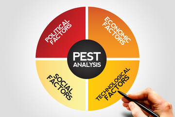 PEST Analysis Strategy Diagram , Business, Presentation