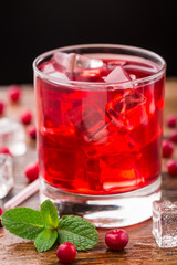 Fototapeta na wymiar Cranberry cocktail with mint garnish.