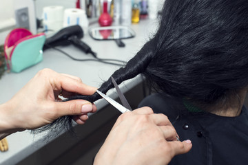 woman in a beauty salon doing hair