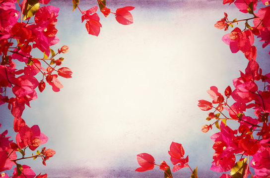 Flower Frame